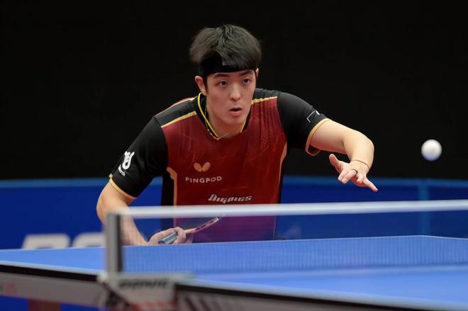 她都能够提 她都能够提